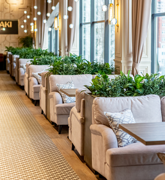 Дивайдеры - зеленые перегородки