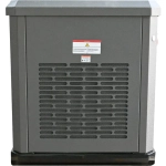 EVOline GNG 19000 E газовый генератор