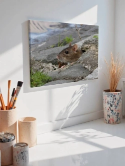 Картина на стену 40 X 50 Мышь