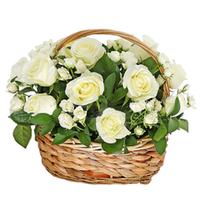 Корзина из живых цветов маленькая км-001