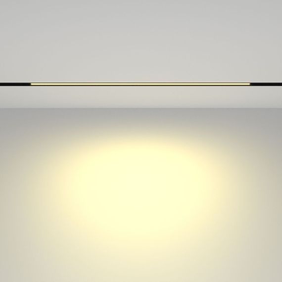 Трековый светодиодный светильник Maytoni Technical Basis TR030-2-24W2.7K-B