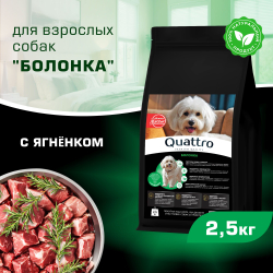 Корм сухой для взрослых собак породы Болонка, с ягненком, 2,5 кг, QUATTRO