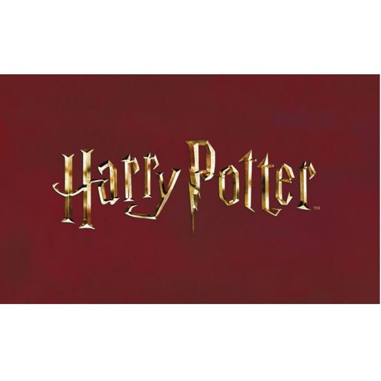 Кардхолдер. Платформа 9 и 3/4 (в форме книжки, 215х65 мм)