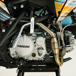 Питбайк PROGASI SMART 160CC GOLD 17/14