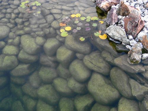 Водоём Булыжник речной Серый