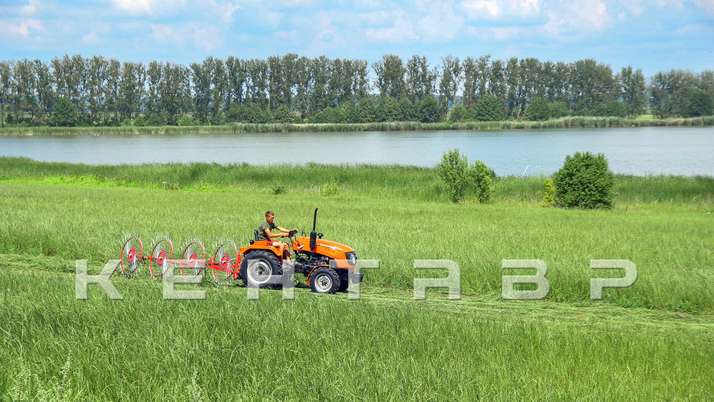 Трактор Кентавр Т-244 6+2 (Toyokawa) STD agri 6,00-12 / 9,50-20 (с ПСМ)