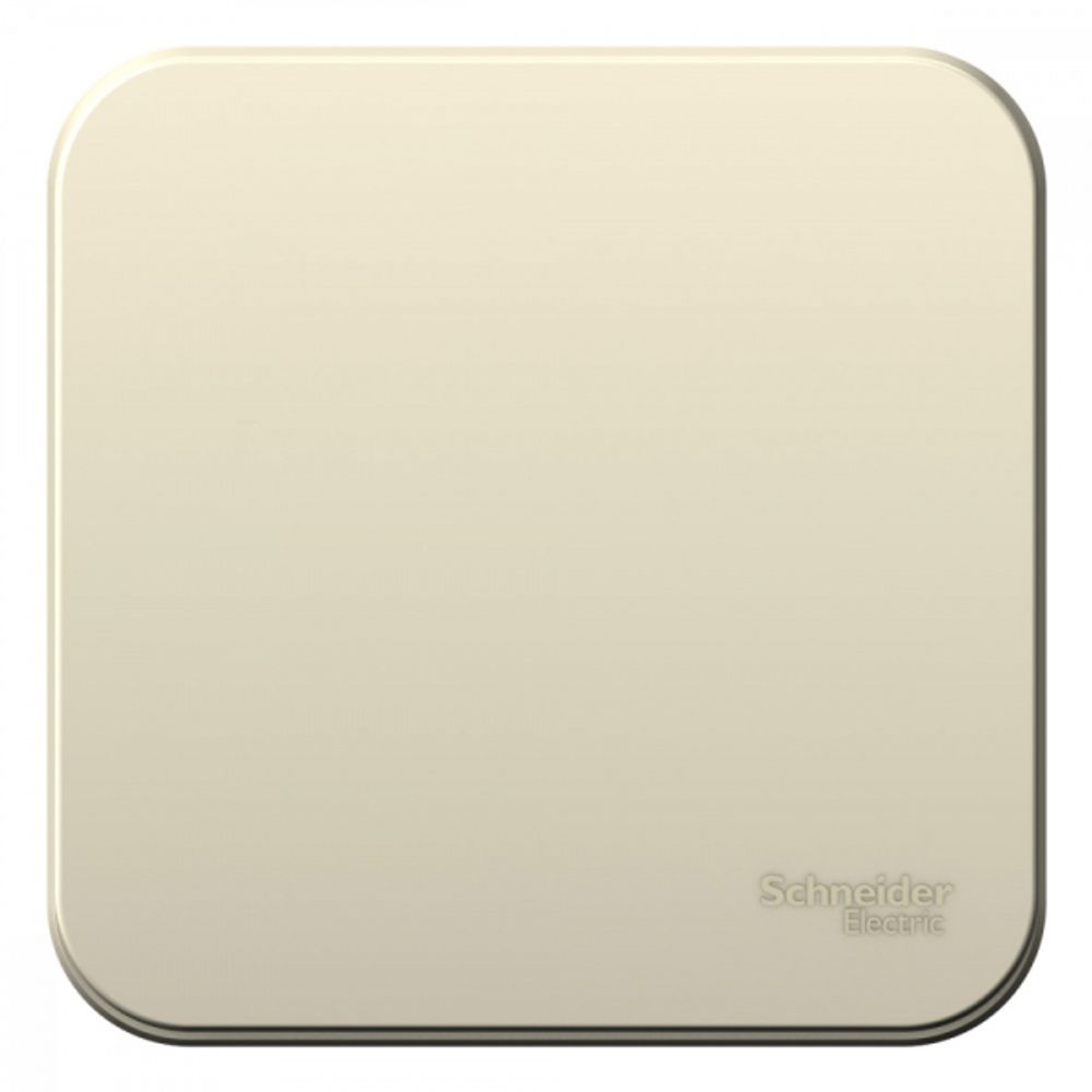 Schneider Electric BLANCA О/У ВЫКЛЮЧАТЕЛЬ 1-клавишный (cх.1) ИЗОЛ.ПЛ., 10А, 250B, МОЛОЧНЫЙ   407508