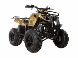Квадроцикл Avantis Hunter 8M (125сс)