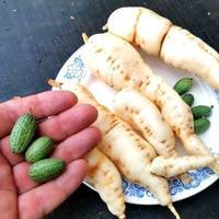 Кукамелон - Мексиканский Огурчик - Cucamelon