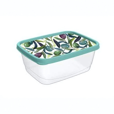 Контейнер для продуктов прямоугольный 0,5л с декором (зеленый)