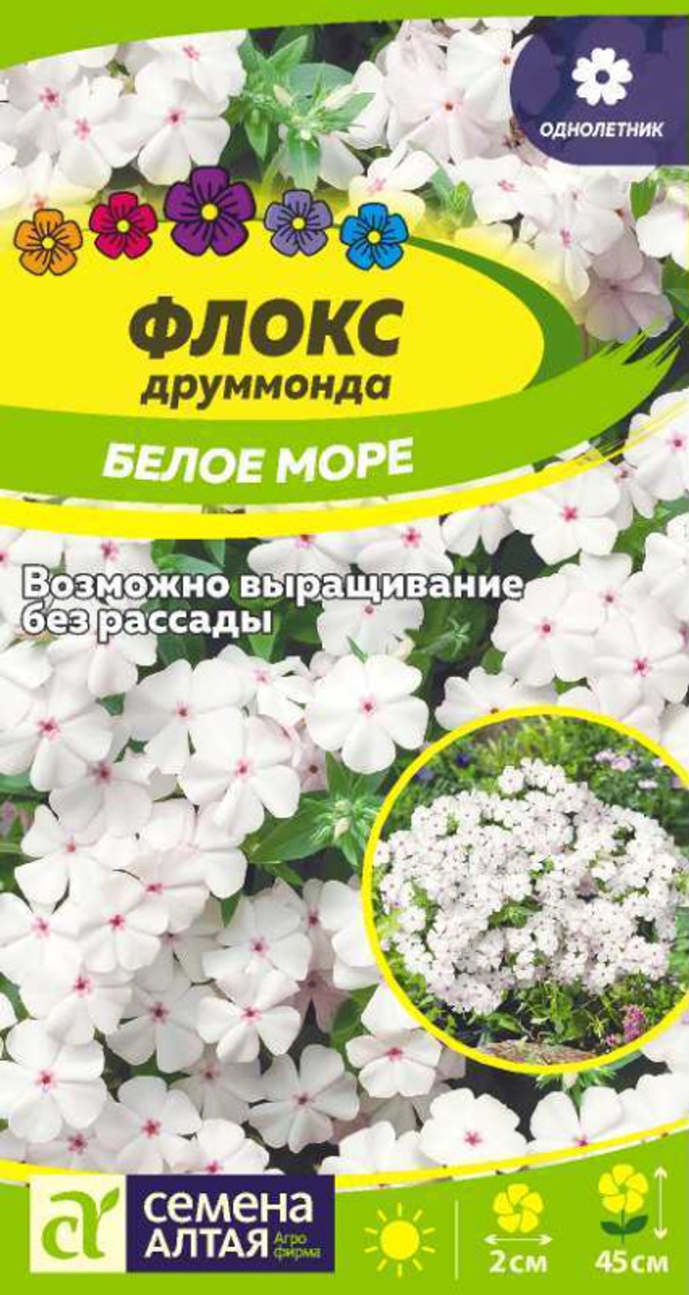 Цв. Флокс Белое море 0,1г (Сем.Алтая)