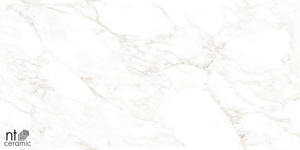 Керамогранит NT ceramic MARBLE EXTRA ENDLESS MAT NTT99526 600*1200мм полированный