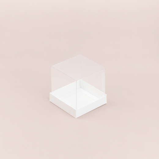 Коробка с куполом 100*100*100 мм