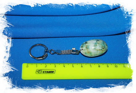 Брелок из спила ракушки Турбо зеленый