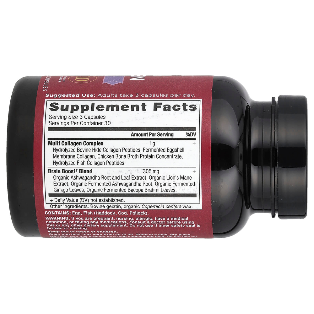 Ancient Nutrition, Multi Collagen, Brain Boost, 90 капсул