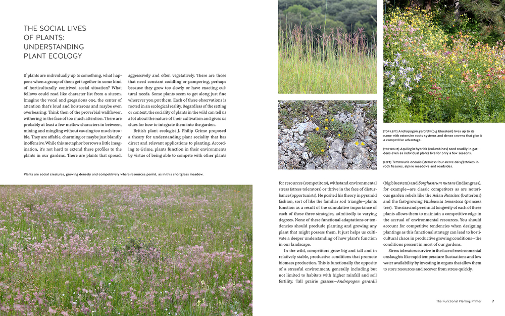 New Naturalism: Designing and Planting a Resilient, Ecologically Vibrant Home Garden