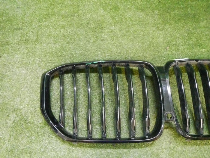 Решетка радиатора BMW X5 G05 (2018-2023)