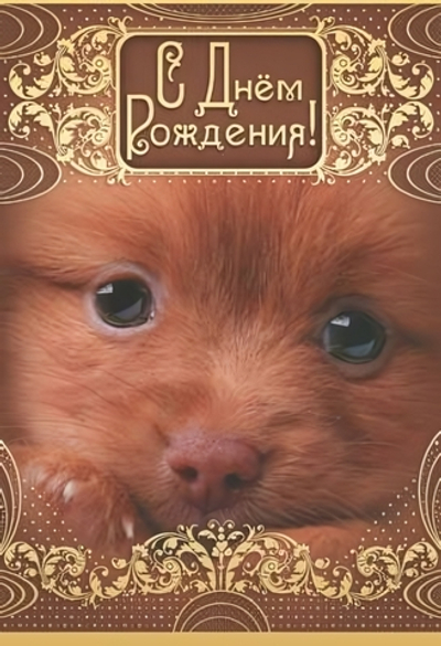 Открытка "С Днем рождения!" 12*18 см (Сфера)