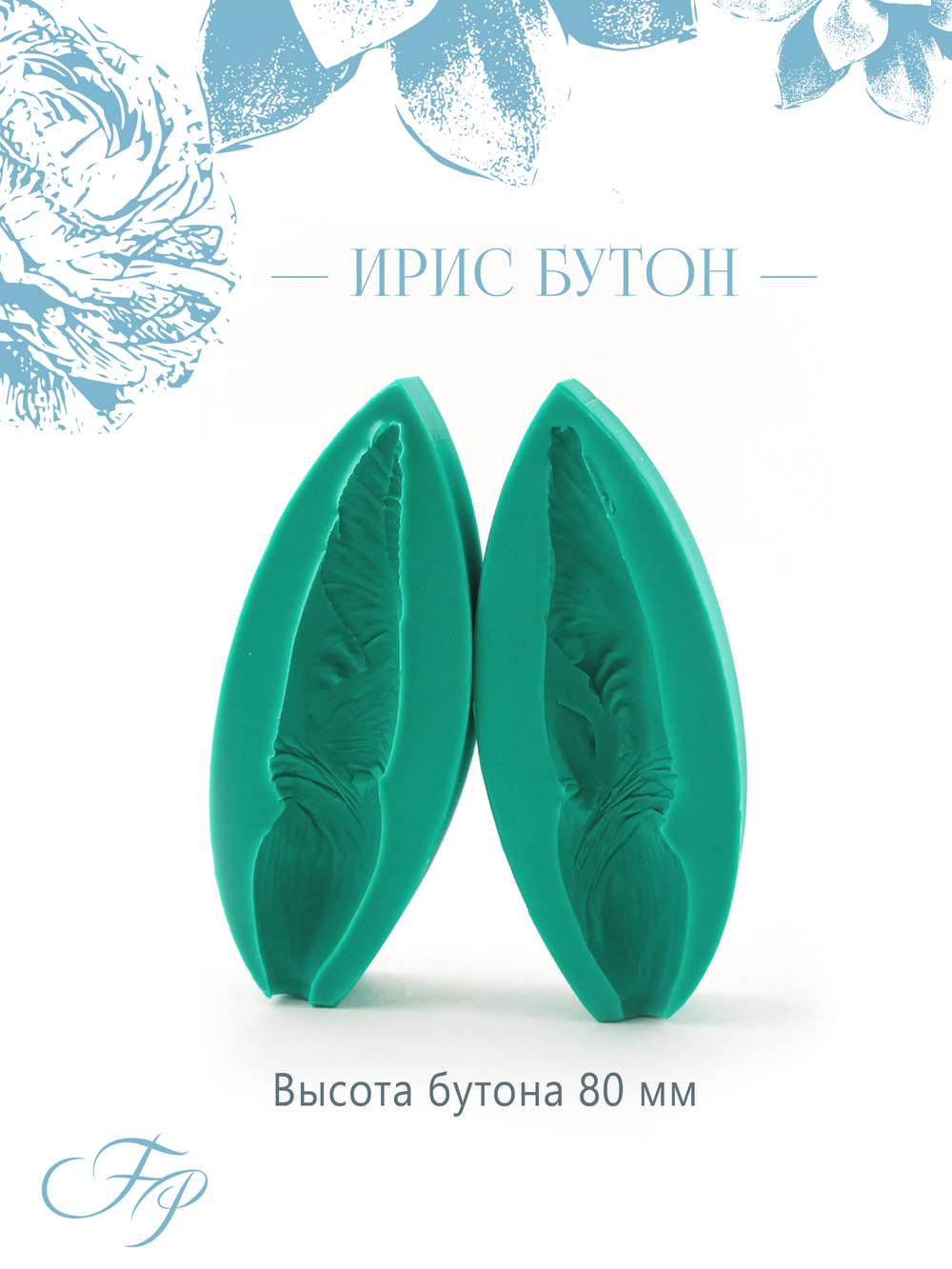 Ирис бутон