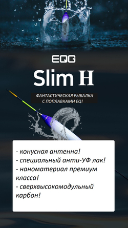 Slim H
