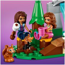 Конструктор LEGO Friends 41677 Лесной водопад