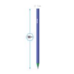 Карандаши цветные пластиковые Berlingo "Цирк", 24цв., заточен., картон, европодвес