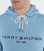 Худи Tommy Hilfiger - голубой(MW0MW11599)