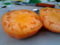 Помидоры Brown's Yellow Giant  — Коричнево-Жёлтый Гигант