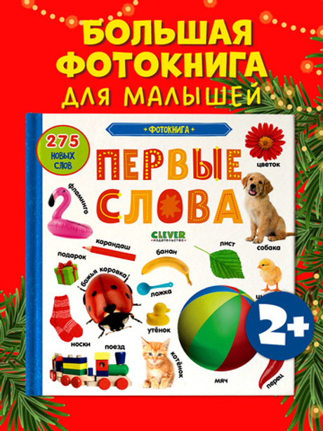 Первые знания. Фотокниги. Первые слова