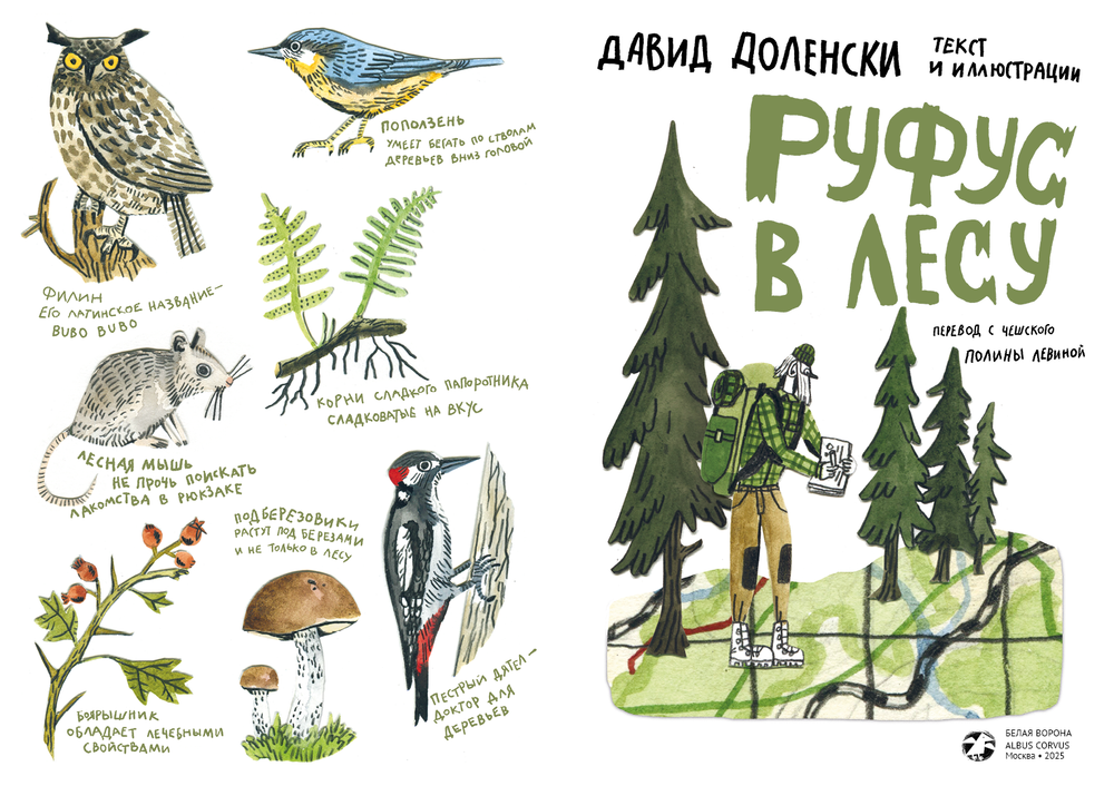 Руфус в лесу