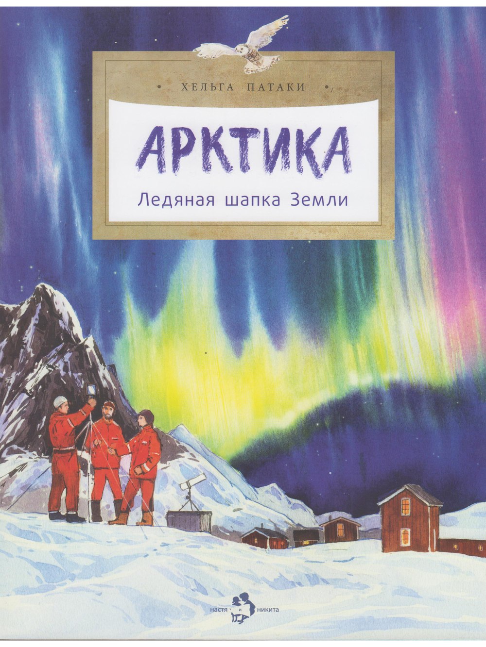 Арктика. Ледяная шапка Земли