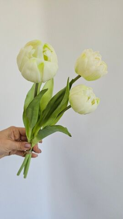 Тюльпаны круглые #01