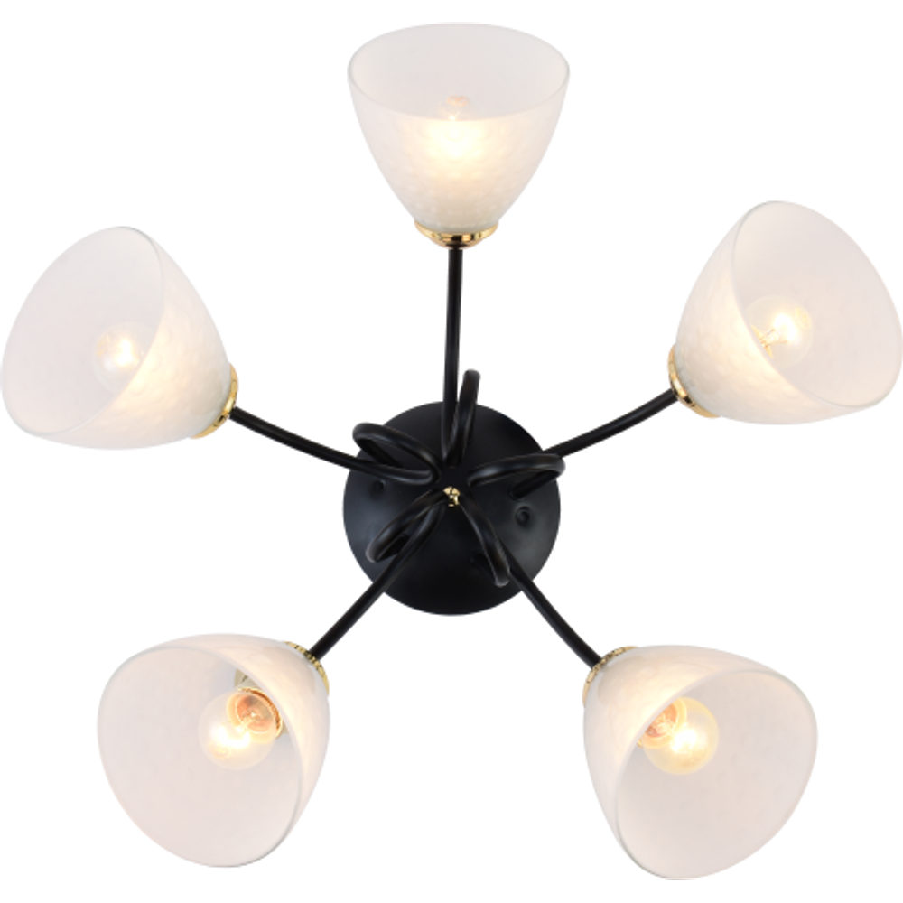 Люстра Rivoli Luiza 9140-305 5 х Е27 60 Вт модерн | Rivoli