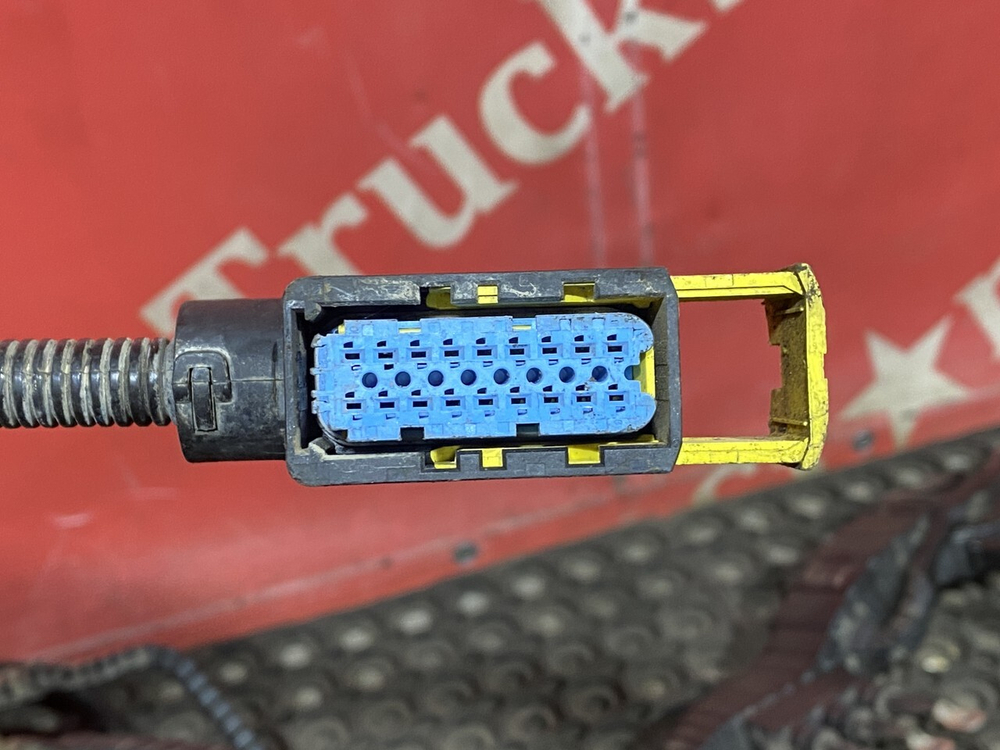Проводка двигателя MX13 2019 год.