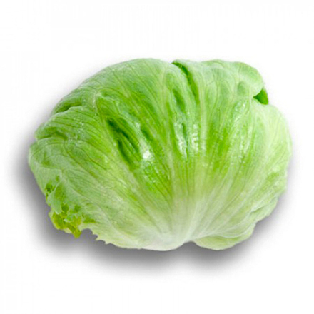 Семена салата Умбринас, Rijk Zwaan, 5 шт.