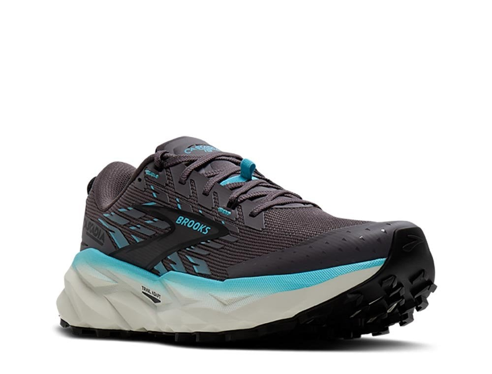 Женские кроссовки для бега Brooks Cascadia 19 W Коричнево-Blue