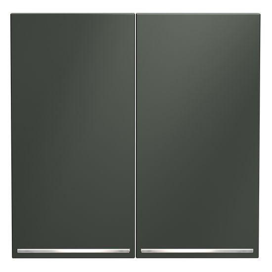 Клавиши для выключателя/переключателя двухклавишного с подсветкой, S70 (титан)