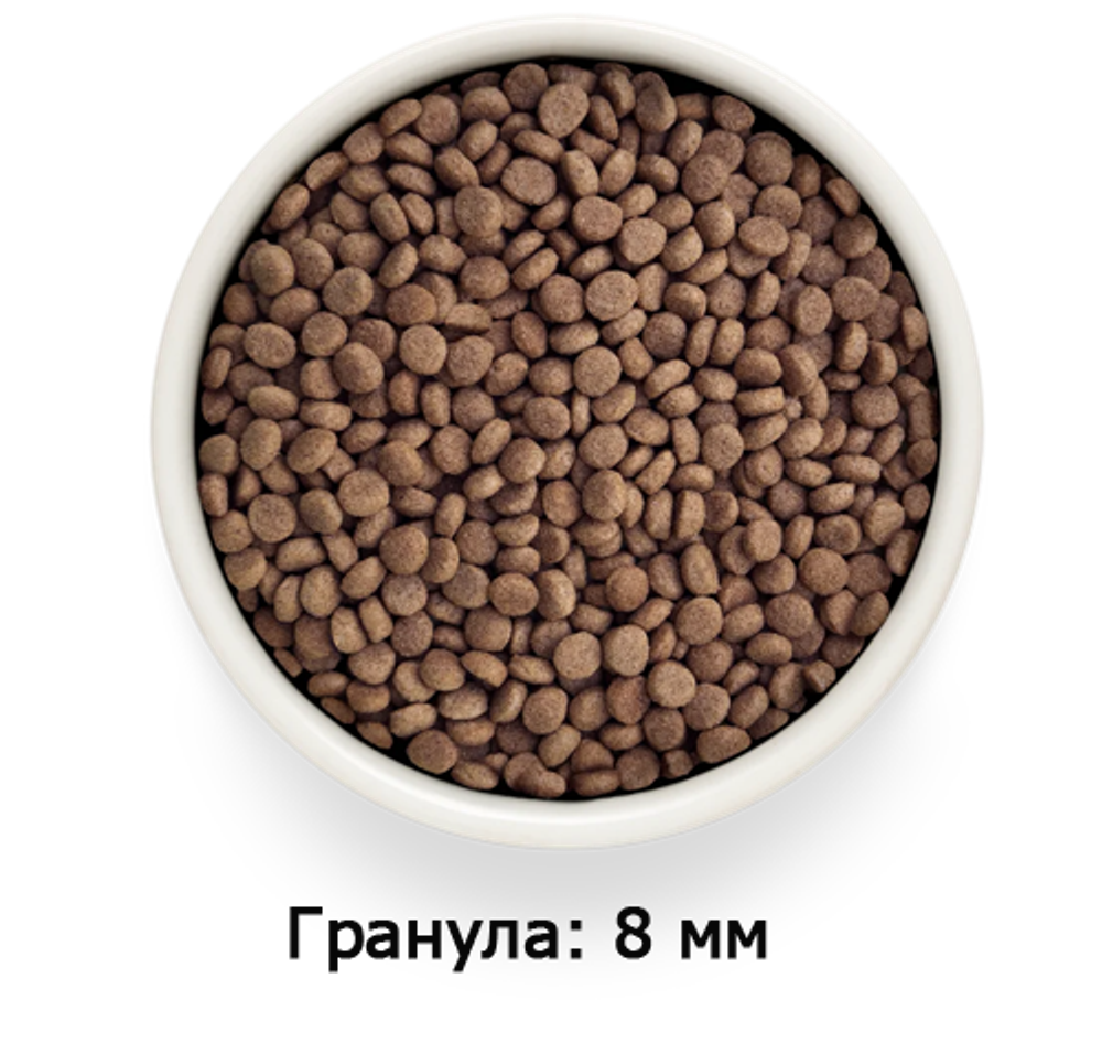 GRANDORF VETDIET Gastrointestinal Turkey - ВЕТДИЕТА для кошек с проблемами ЖКТ.