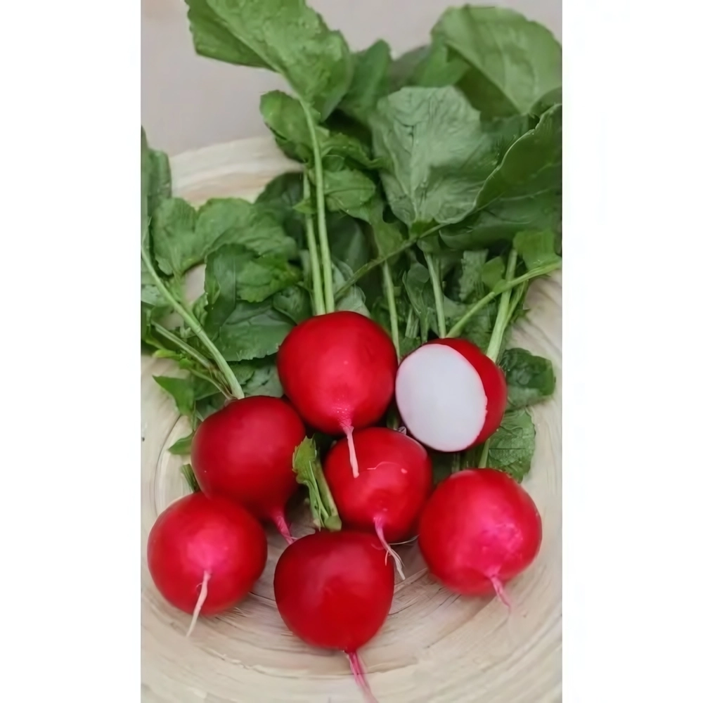 Семена Редис Черри Белле (УД) Е/П