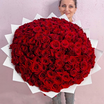 Букет из 151 розы сорта "Эксплорер" (Эквадор 70 см)