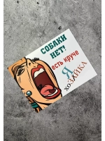 Табличка на дом Осторожно злая собака