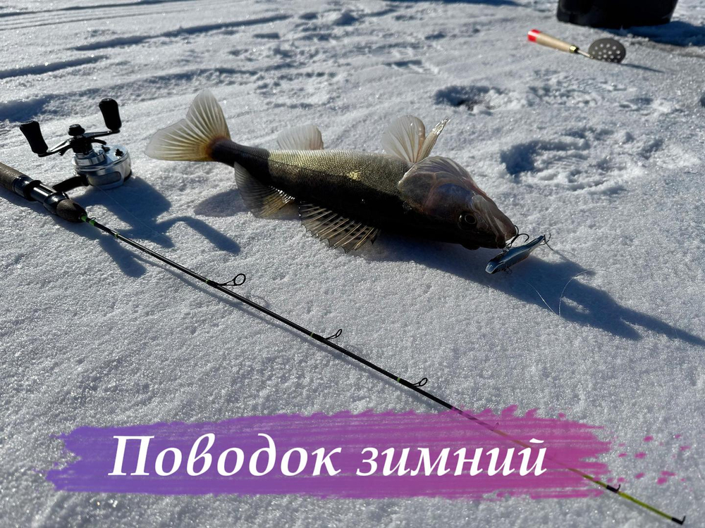 Поводок «Зимний»