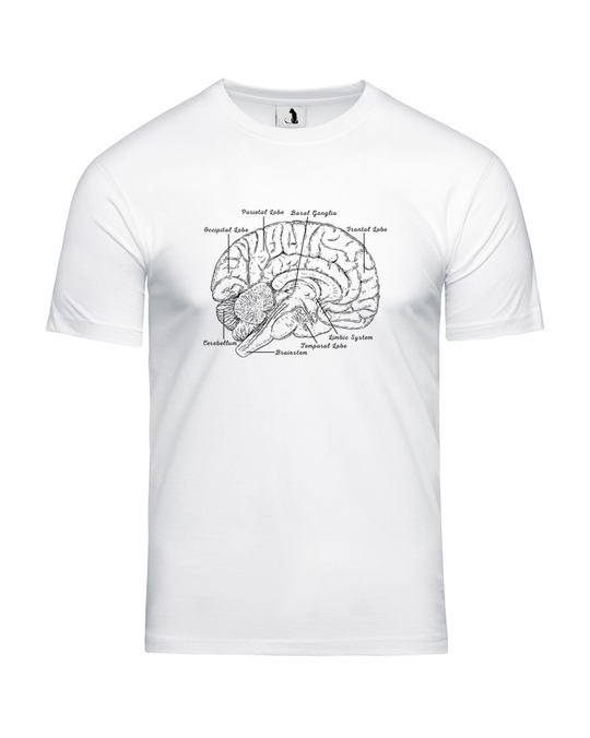 Футболка Анатомия мозга