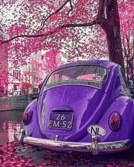 Картины по номерам 40х50 Фиолетовый автомобиль (VA-3188)