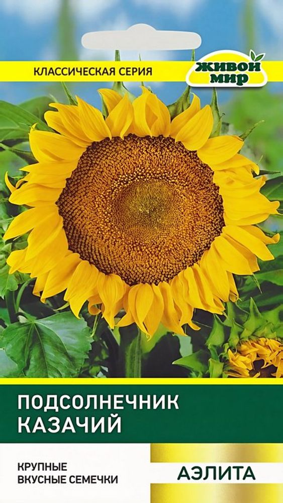 Подсолнечник "ЖМ. Kaзaчий" 10г., Россия.