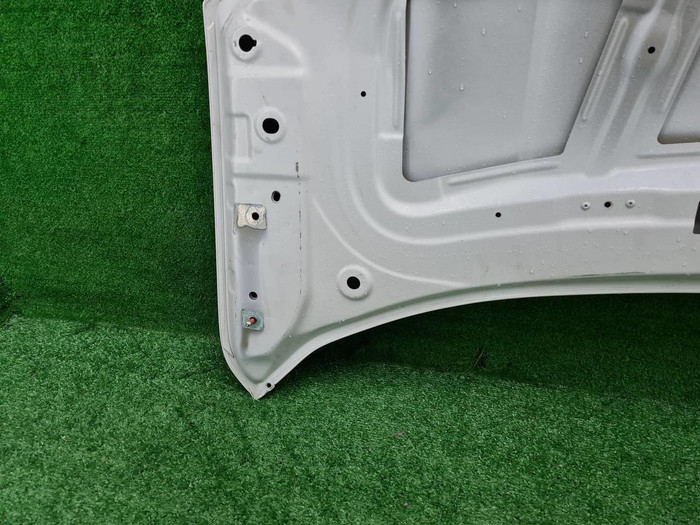 Капот Zeekr 001 (2021-н.в.)