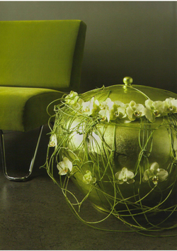 Natural Interior Design