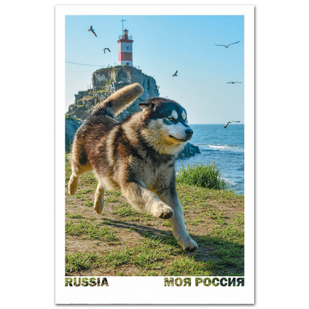 Маяк Басаргина во Владивостоке, Приморский край