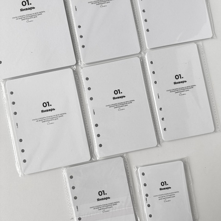 Ламинированные разделители по месяцам с цитатами (6 колец)