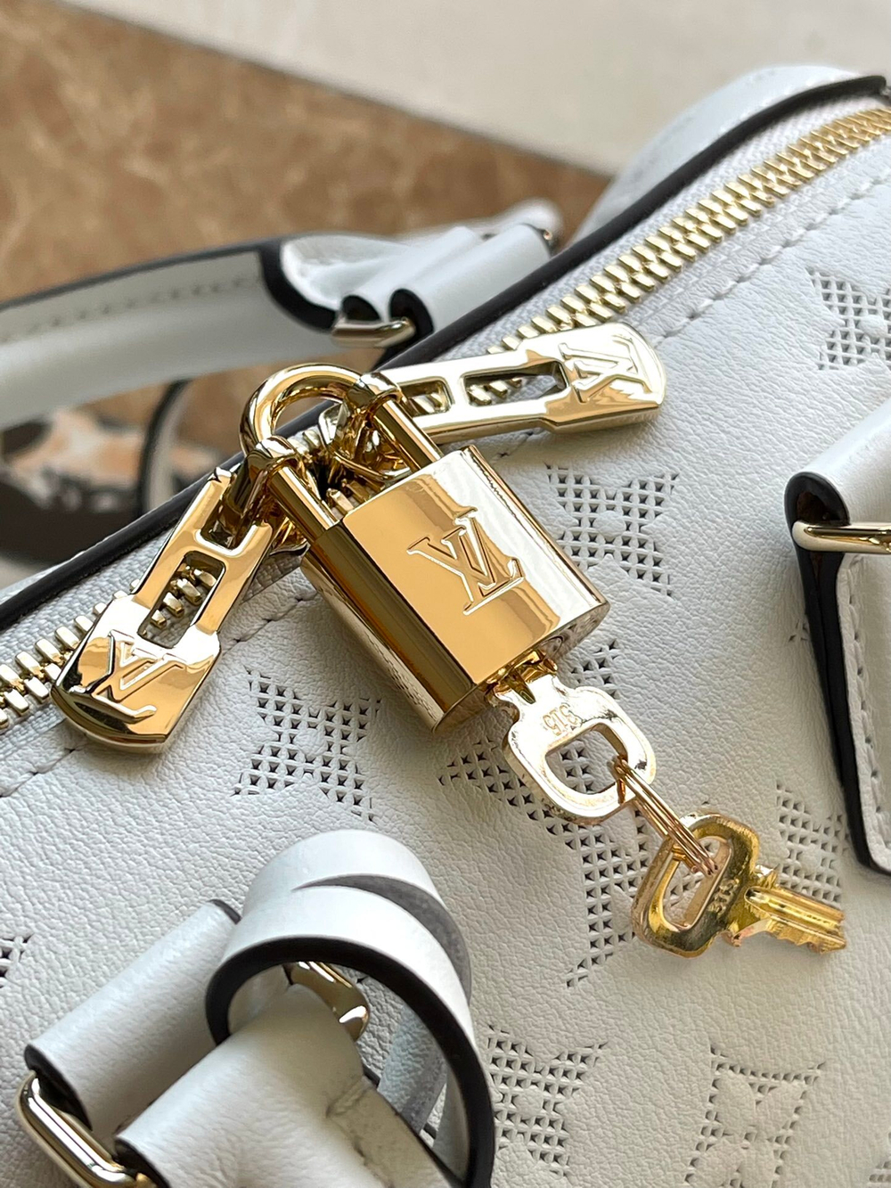 Louis Vuitton Speedy 20